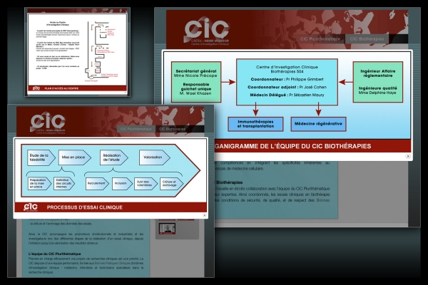 Looktrope Internet CIC APHP Henri Mondor