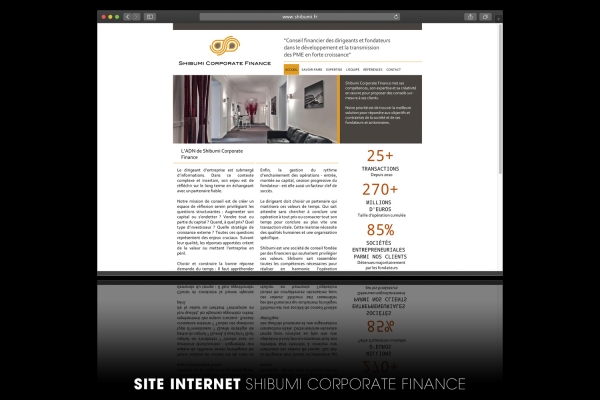 Looktrope Internet Shibumi Corporate Finance