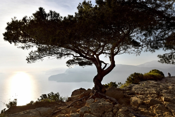 Looktrope France Cassis Route des Crètes