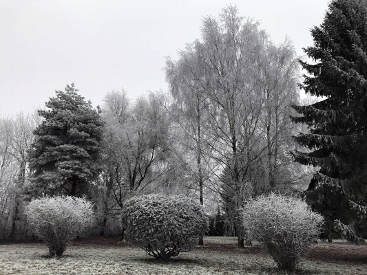 Looktrope France Lunay Jardin Neige