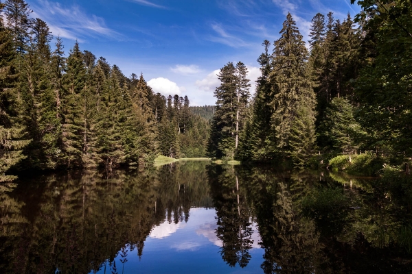 Looktrope France Xonrupt-Longemer Forêt Lac