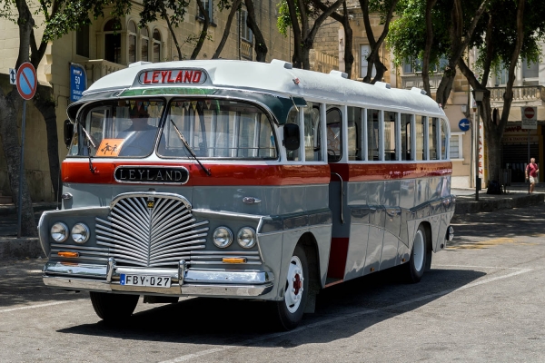 Looktrope Malte Gozo Bus