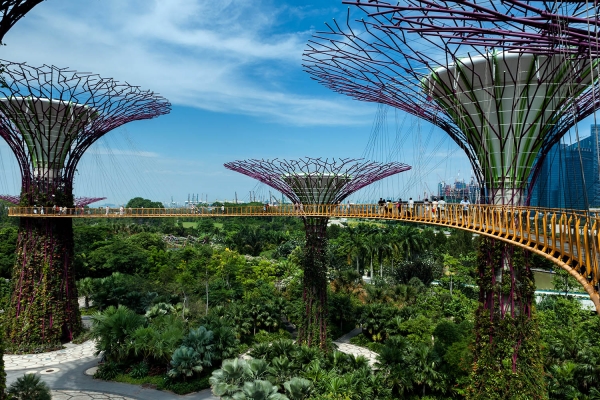 Looktrope Singapour Gardens By The Bay