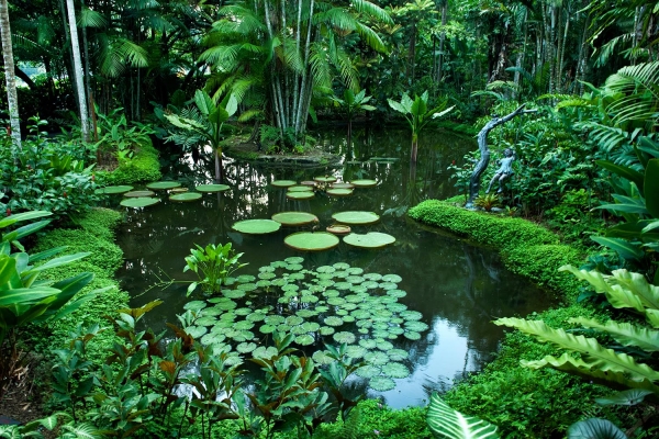 Looktrope Singapour Botanic Garden