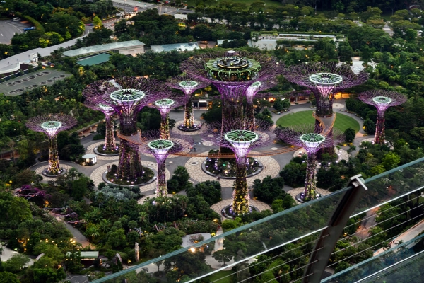 Looktrope Singapour Gardens By The Bay
