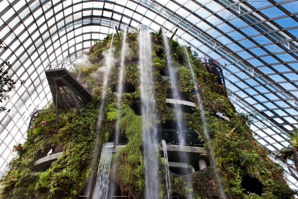 Looktrope Singapour Gardens By The Bay