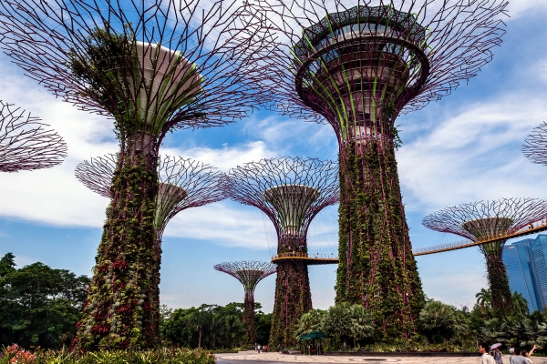 Looktrope Singapour Gardens By The Bay