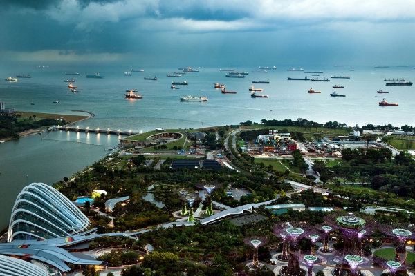 Looktrope Singapour Gardens By The Bay